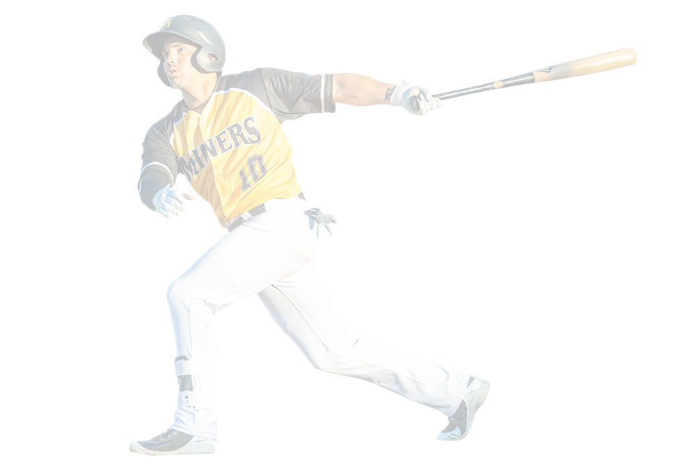 Sussex County Miners Player Swing Website Background