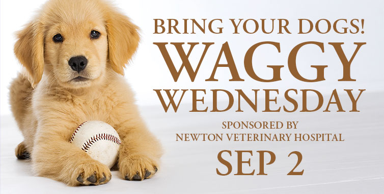 Sussex Count Miners Waggy Wednesday, September 2, 2026